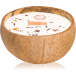 Tropicandle Christmas Spice l&otilde;hnak&uuml;&uuml;nal puidust taht 350 ml