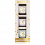 Yankee Candle Little Luxuries votiivk&uuml;&uuml;nal kinkekomplekt
