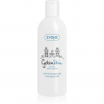 Ziaja Gdan Skin Du&scaron;i- ja vannigeel gl&uuml;tseriiniga 300 ml