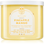 Bath & Body Works Pineapple Mango l&otilde;hnak&uuml;&uuml;nal 411 g
