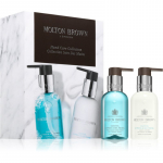 Molton Brown Coastal Cypress & Sea Fennel Kinkekomplekt k&auml;tele