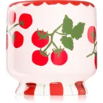 Paddywax A Dopo Tomato Vine l&otilde;hnak&uuml;&uuml;nal 226 g