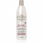 Alfaparf Milano Il Salone Milano Magnificent Juuksepalsam v&auml;rvitud juustele 500 ml