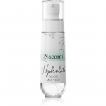 Nacomi Hydrolate Niisutav pihusti aloe veraga 80 ml