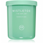 DW Home Definitions Mistletoe l&otilde;hnak&uuml;&uuml;nal 108 g