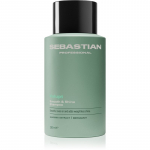 Sebastian Professional Volupt &Scaron;ampoon juuste kohevuseks 280 ml