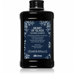 Davines Heart of Glass Silkening Shampoo &Otilde;rn puhastav &scaron;ampoon blondidele juustele 250 ml
