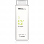 Framesi Morphosis Balance Shampoo Puhastav &scaron;ampoon rasustele juustele 250 ml