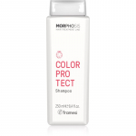 Framesi Morphosis Color Protect &Scaron;ampoon normaalsetele kuni &otilde;hukestele juustele v&auml;rvi kaitseks 250 ml
