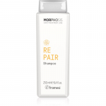Framesi Morphosis Repair Taastav &scaron;ampoon kuivadele, stressis juustele 250 ml