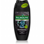 Palmolive Men Refreshing Du&scaron;igeel  Mle kolm-&uuml;hes  Mle 250 ml