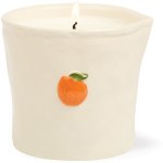 Paddywax Bistro Citrus Spritz l&otilde;hnak&uuml;&uuml;nal 226 g