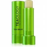 Teaology Tea Balm Niisutav huulepalsam varjund Matcha Tea - transparent 4 g