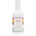 Waterclouds Repair Shampoo Pehme hooldav &scaron;ampoon 250 ml