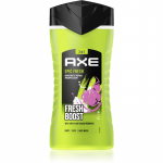 Axe Epic Fresh Du&scaron;igeel n&auml;ole, kehale ja juustele 250 ml