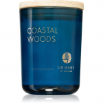 DW Home UR.BANE Coastal Woods l&otilde;hnak&uuml;&uuml;nal 215 g