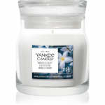 Yankee Candle Midnight Jasmine l&otilde;hnak&uuml;&uuml;nal Signature 110 g