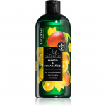 Lirene Shower Gel Du&scaron;igeel &otilde;liga 400 ml