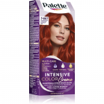 Schwarzkopf Palette Intensive Color Creme P&uuml;sijuuksev&auml;rv varjund 7-887 (RV6) Scarlet Red 1 tk