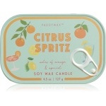 Paddywax Bistro Tin Citrus Spritz l&otilde;hnak&uuml;&uuml;nal purgis 127 g
