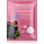 Teaology Face Mask Peach Tea Hyaluronic Niisutav n&auml;o lehtmask 21 ml