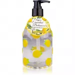 Accentra Essential Botanicals Hand Soap K&auml;teseep pumbaga 300 ml