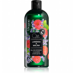 Lirene Shower Gel Niisutav du&scaron;igeel eeterlike &otilde;lidega 400 ml