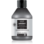 Black Professional Line Line Argent Shampoo Tugevdav &scaron;ampoon kahjustatud juustele tuhmidele juustele 300 ml