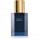 Davidoff Cool Elixir Parfum Intense parf&uuml;&uuml;m  Mle 30 ml