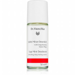 Dr. Hauschka Body Care Deodorant salvei ja piparm&uuml;ndiga 50 ml