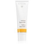 Dr. Hauschka Facial Care P&auml;evakreem melissiga 30 ml