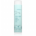 Joico InnerJoi Hydrate Shampoo Looduslik &scaron;ampoon niisutava toimega 300 ml