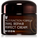 Mizon Multi Function Formula Snail N&auml;okreem 60% filtreeritud teolimaga 50 ml