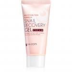 Mizon Multi Function Formula Snail N&auml;ogeel teoekstraktiga 45 ml