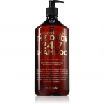 Waterclouds The Dude Shampoo &Scaron;ampoon igap&auml;evaseks kasutamiseks 1000 ml