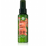 Yves Rocher Anti-Casse Tugevdav seerum habraste juuste hoolduseks with Organic Jojoba 100 ml