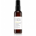 Ziaja Baltic Home Spa Vitality Silendav seerum n&auml;ole, kaelale ja dekolteele 90 ml