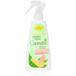 Bione Cosmetics Cannabis Jalapihusti 260 ml