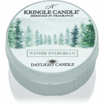 Kringle Candle Winter Evergreen teek&uuml;&uuml;nal 42 g