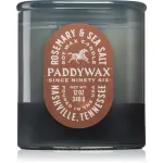 Paddywax Vista Rosemary & Sea Salt l&otilde;hnak&uuml;&uuml;nal 340 g