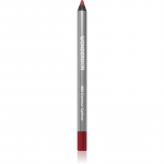 WONDERSKIN 360 Contour Huulepliiats varjund Rosewood 1,2 g
