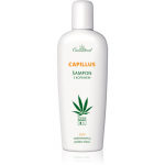Cannaderm Capillus Caffeine shampoo &Scaron;ampoon kanepi&otilde;liga 150 ml
