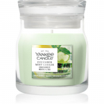 Yankee Candle Cucumber Mint Cooler l&otilde;hnak&uuml;&uuml;nal Signature 110 g