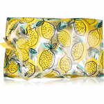 BrushArt Accessories Transparent cosmetic bag L&auml;bipaistev meigikott Lemon 1 tk