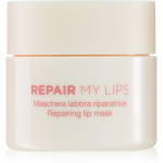 Diego dalla Palma REPAIR MY LIPS Niisutav huulemask 25 ml