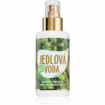 Purity Vision BIO Nahatoonik pihustis 100 ml