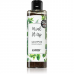 Anwen Mint It Up kooriv &scaron;ampoon 200 ml
