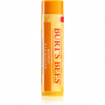 Burt&rsquo;s Bees Lip Care Toitev huulepalsam (with Mango Butter) 4,25 g