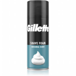 Gillette Classic Sensitive Raseerimisvaht  Mle 400 ml