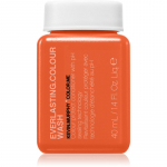 Kevin Murphy Everlasting.Colour Wash &Scaron;ampoon v&auml;rvitud juustele 40 ml